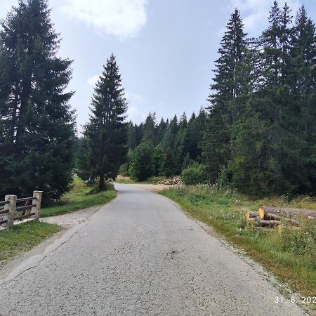 Vila Carobna Suma Tara Bajina Basta Esterno foto